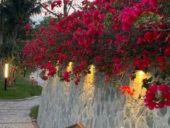 -石梅湾艾美度假酒店