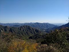 -大岭沟猕猴桃谷风景区