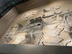 -洛阳周王城天子驾六博物馆