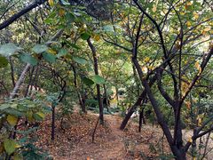 -北岭山森林公园