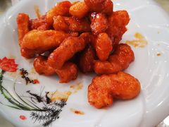 -八珍饺子·烤鸭·家常菜