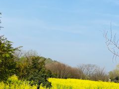 -黄陂区野村谷景区