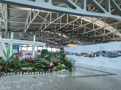 -重庆江北国际机场-T2航站楼