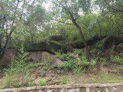 -白水寺森林公园