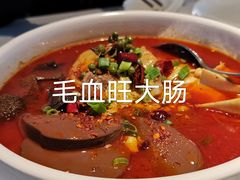 -梧桐