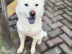 -贝利宠物医院·骨科·眼科·肿瘤转诊中心(南坪诊疗中心)