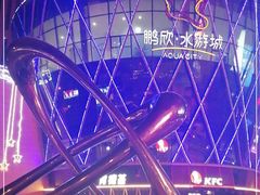 -鹏欣水游城
