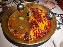 -小龙翻大江文化火锅(宽窄店)