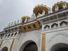 -上海东林寺(金山区)