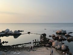-养马岛旅游度假区