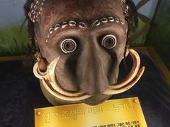 -信不信由你博物馆