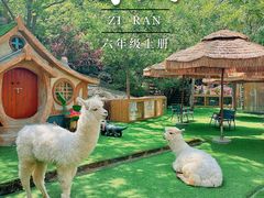 -河南宝泉旅游区