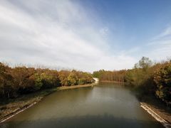 -上海海湾国家森林公园