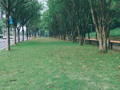 -华南师范大学(广州大学城校区)