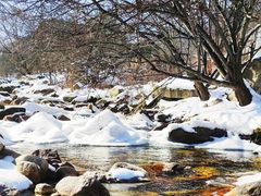 -秦岭风景区