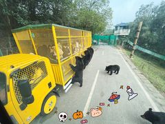 -乐和乐都主题乐园