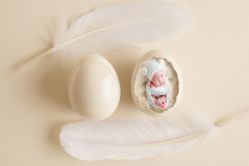 -BabyA 专业婴童摄影(古北时尚广场店)