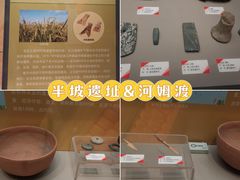 -天津自然博物馆