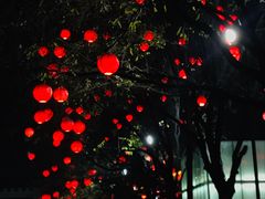 -大雁塔北广场音乐喷泉