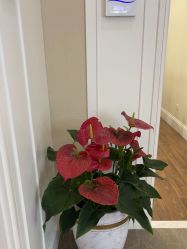 -美莱医疗美容医院