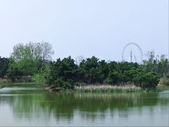 -日照海滨国家森林公园
