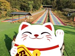 -南丹山森林王国