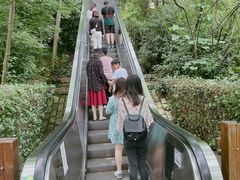 -天目湖山水园