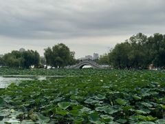 -长春市南湖公园