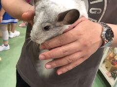 -藦茜花园宠物主题亲子互动体验馆(国顺东路店)