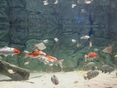 -常州海昌海洋探索馆