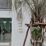 吴江探店 | Lim cafe🥂