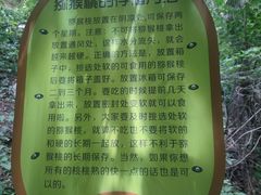 -大岭沟猕猴桃谷风景区
