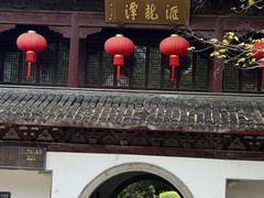 -汇龙潭