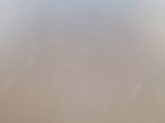 -赵记煎饼卷大葱(东岳店)