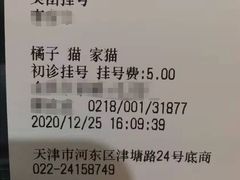 -瑞派福兴宠物医院犬猫全科·骨科·中西医结合(河东店)