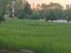 -哈尔滨师范大学(松北校区)
