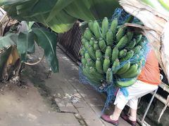 -北戴河集发农业梦想王国
