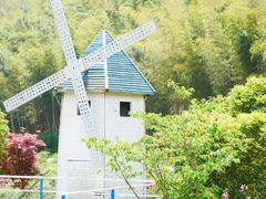 -宁波浙东大竹海景区