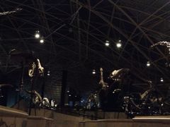 -世界恐龙谷景区