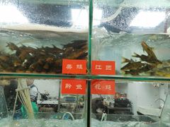 -喜欢吃鱼(非遗博览园总店)