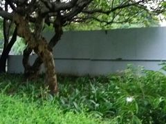-晓港公园
