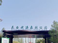 -黄海国家森林公园