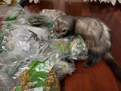 -上海市中医医院(芷江路院区)