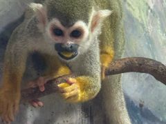 -福州罗源湾海洋世界旅游区