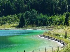 -武陵山森林公园
