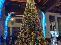 -青岛金沙滩希尔顿酒店·自助餐厅