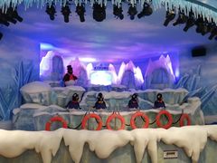 -帝企鹅自助餐厅•儿童岛•真企鹅(长隆企鹅酒店)