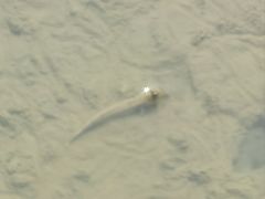 -北海金海湾红树林生态旅游区