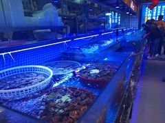 -渔民船说·北塘海鲜·天津菜·海肠捞饭(北塘古镇店)