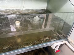 -小陆莲花蟹园农家乐(莲花岛店)